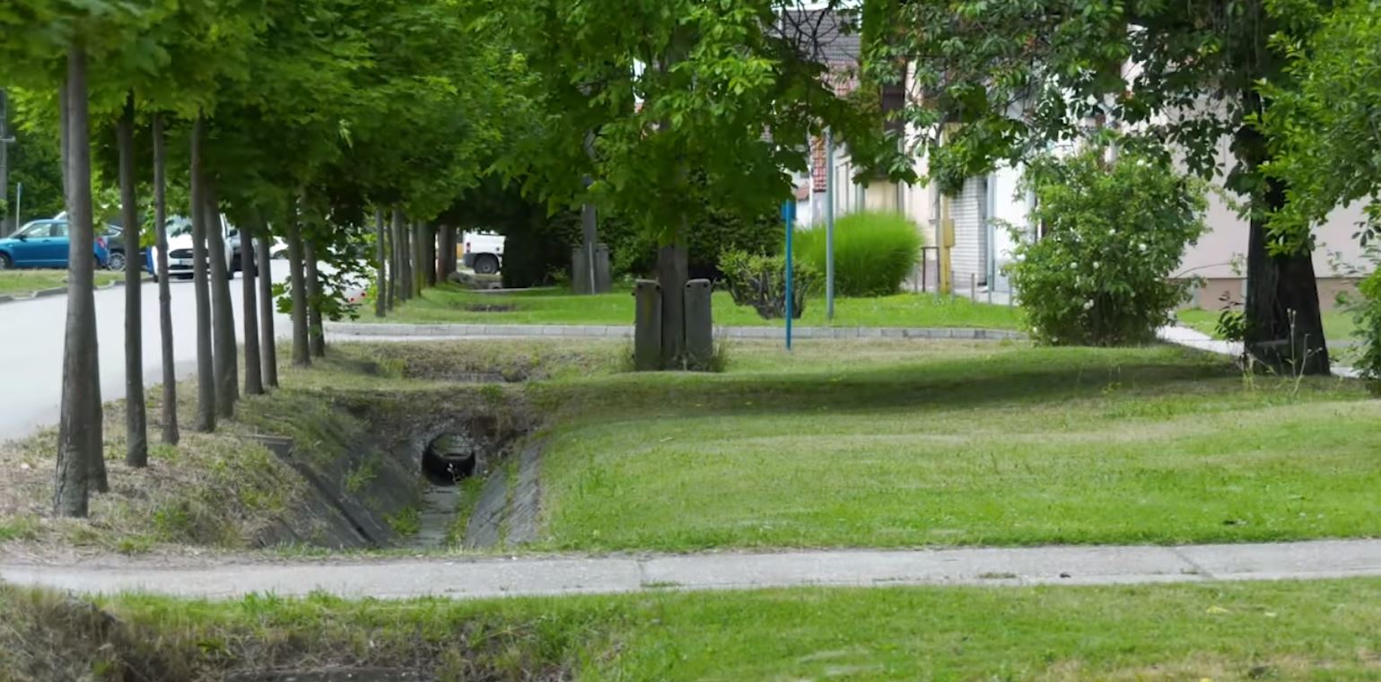 A zöldterületek gondozására kérik az ingatlantulajdonosokat