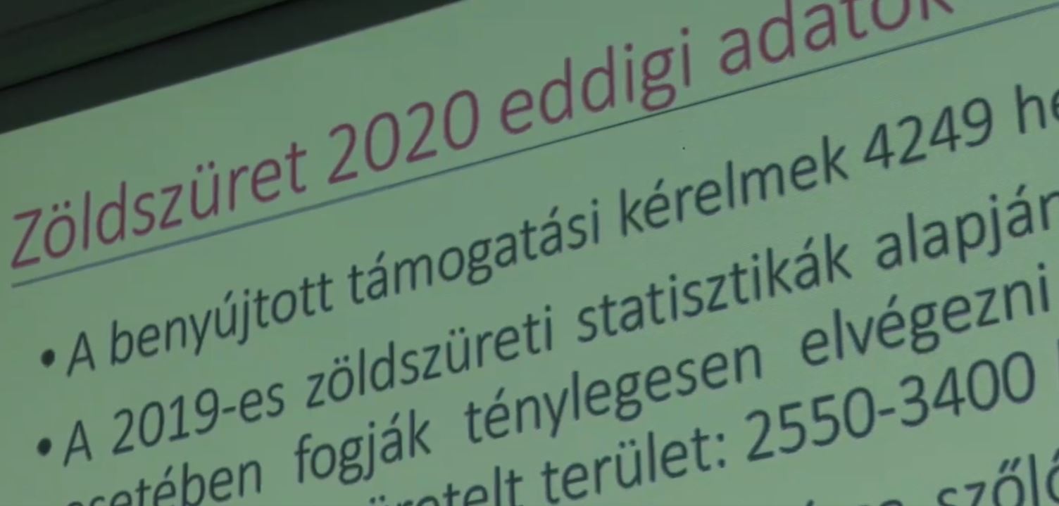 A termelői integrációs szervezet segíthet a szőlőtermelőknek