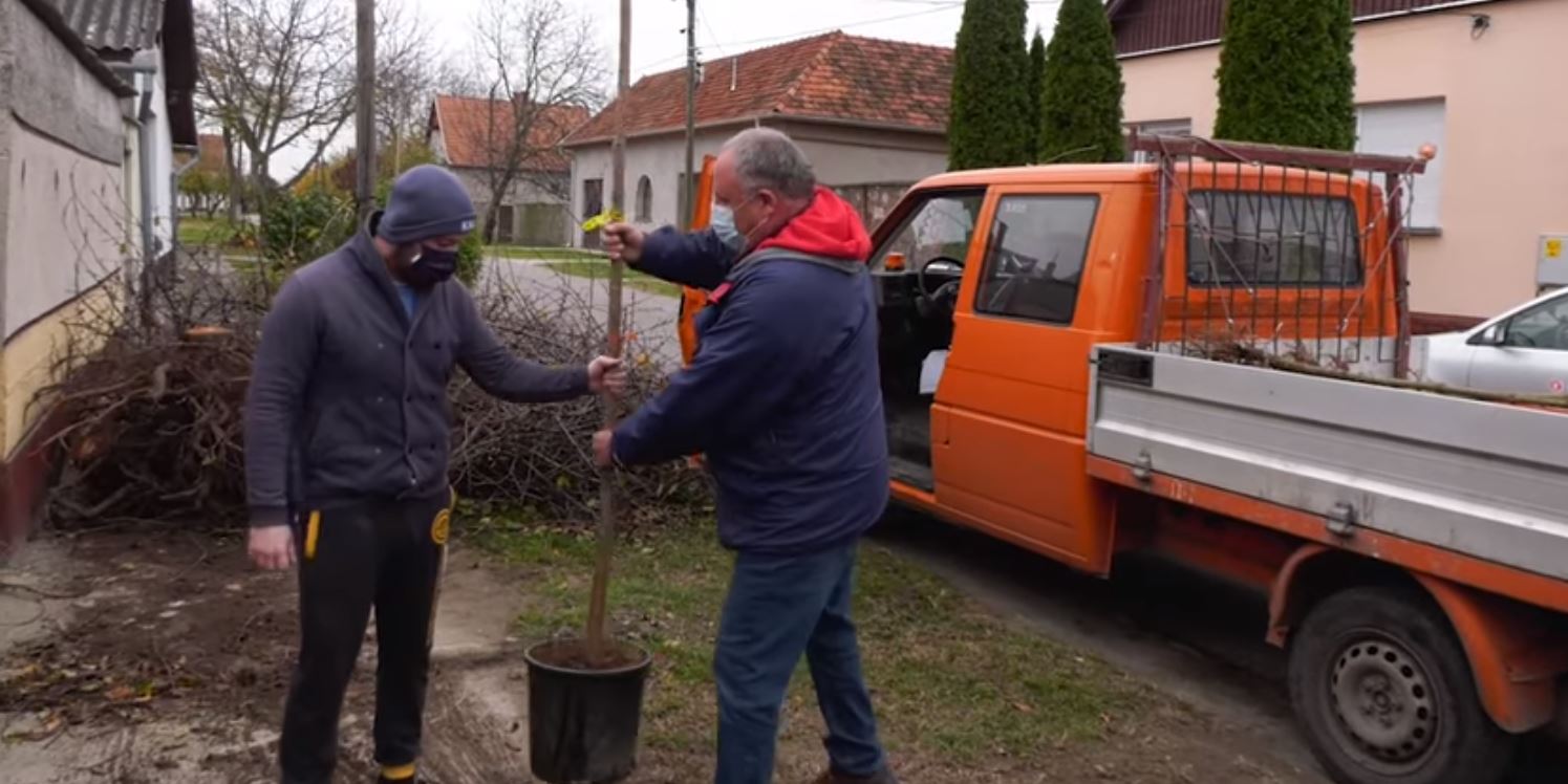 Sikeres fásítási program, folytatódik a külterületi utak karbantartása