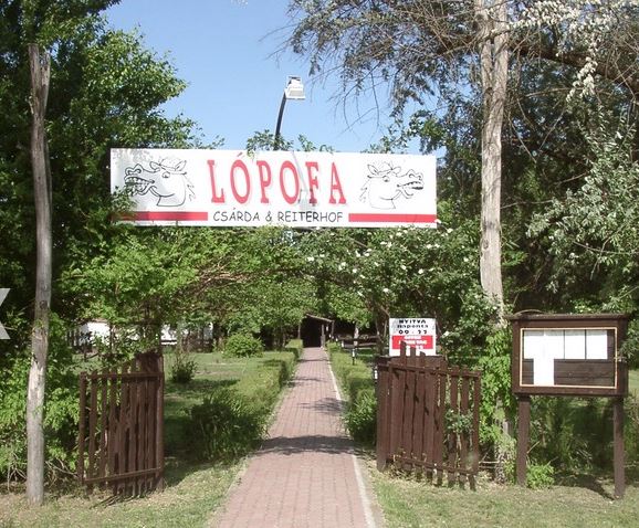 Lópofa